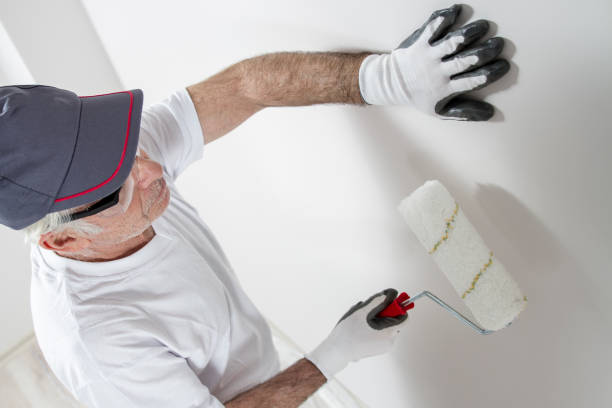 Best Attic Mold Removal  in Remgton, IN