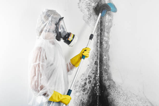 Best Real Estate Mold Inspection  in Remgton, IN