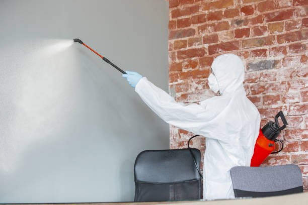 Best Commercial Mold Inspection  in Remgton, IN
