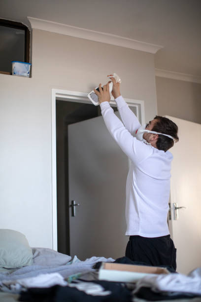 Best Basement Mold Removal  in Remgton, IN