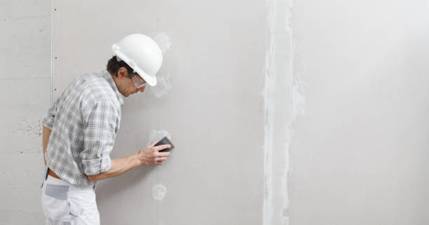 Best Asbestos and Lead Testing During Mold Inspection  in Remgton, IN
