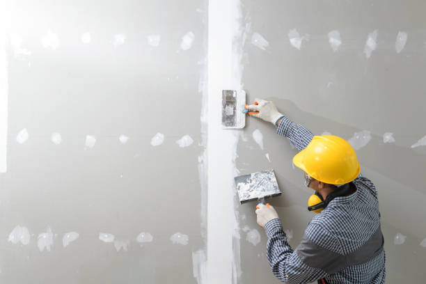 Best Mold-Related Health Consultation  in Remgton, IN