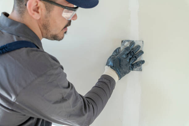 Professional Mold Removal in Remington, IN