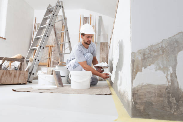 Best Mold Odor Removal Services  in Remgton, IN