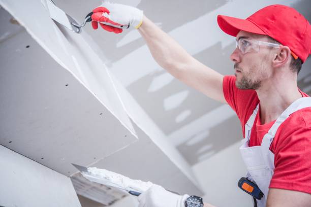 Best Black Mold Removal  in Remgton, IN